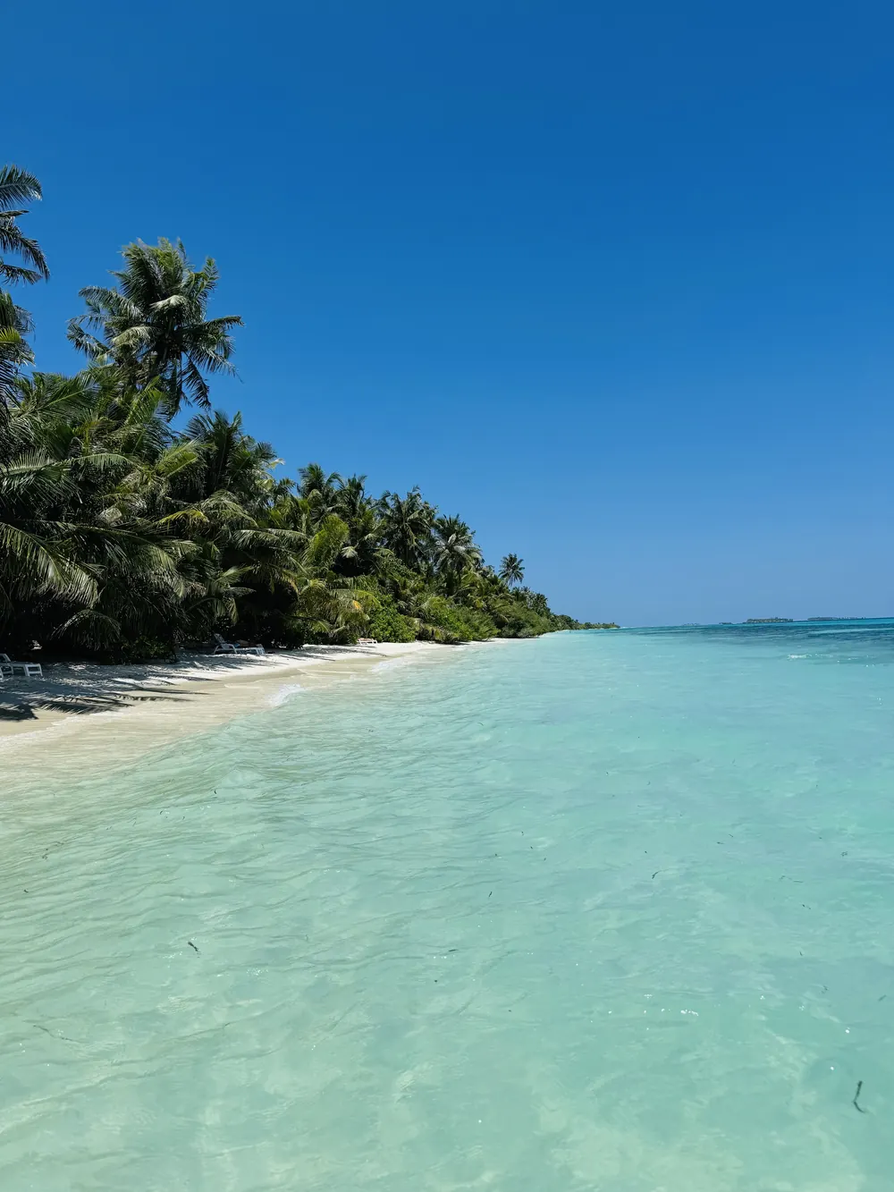 Playa de arena blanca y aguas turquesas en Maldivas